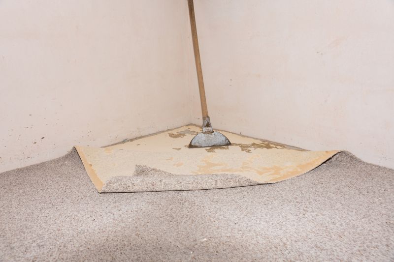 Carpet Underlay Replacement in Olathe, KS