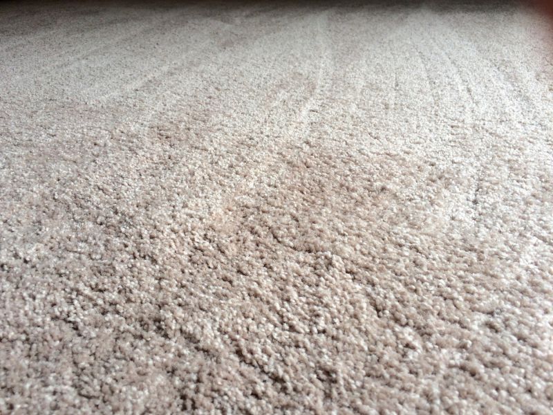 Plush Carpet Installation in Freehold, NJ