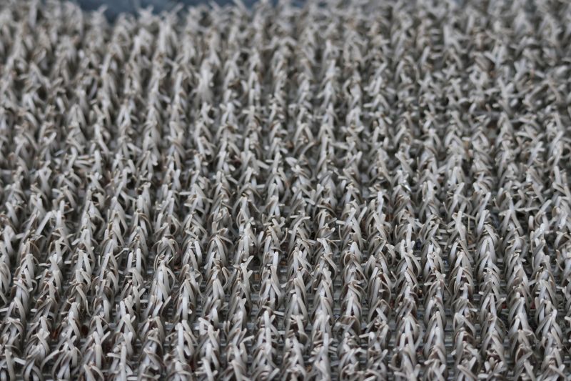 Residential Carpet Repair in Kansas City, KS