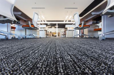 Soft Carpet Installation in Freehold, NJ